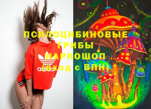 первитин Абаза