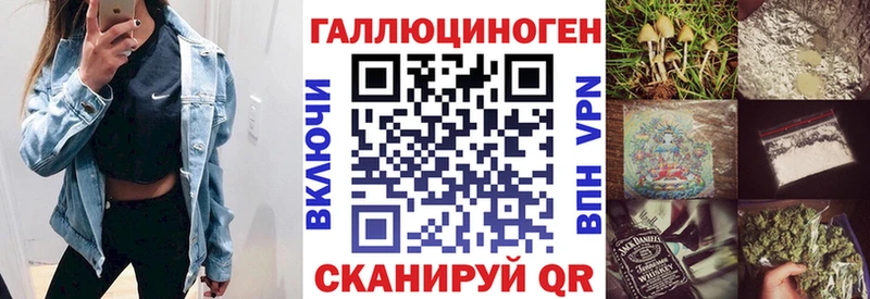Псилоцибиновые грибы Psilocybine cubensis Тайга
